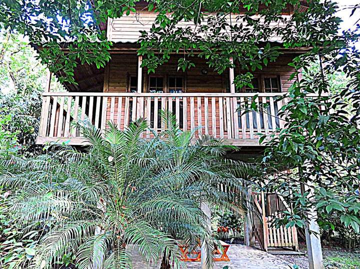Finca Cabin 1