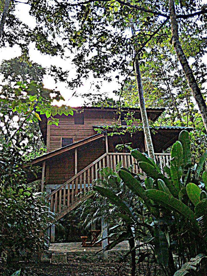 Finca Cabin 2